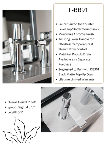 Zeek Chrome Single Handle Bathroom Faucet F-BC91