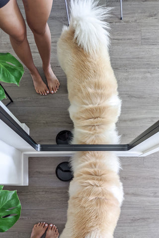 Zeek 60"x22" Black Metal Rectangular Wall Mirror, Thin Edge Full Length, Deep Set Mirror MB6022